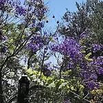 בית הארחה Romantic Casa Lorenzina 3*