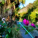 Romantic Casa Lorenzina בית הארחה