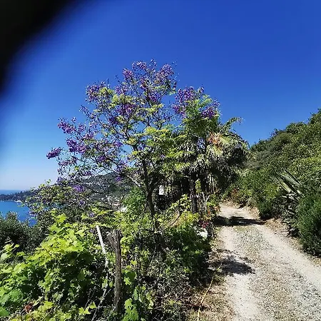 Romantic Casa Lorenzina 3*