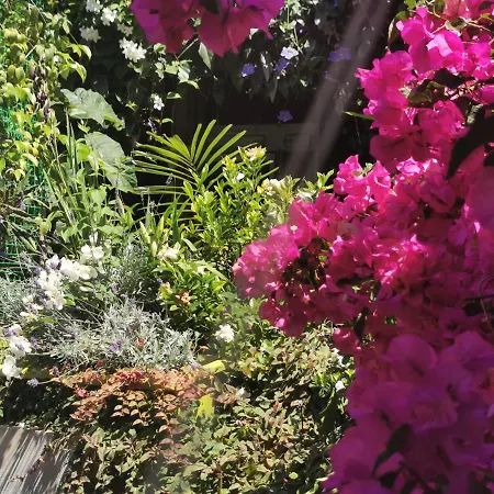 Romantic Casa Lorenzina 3*