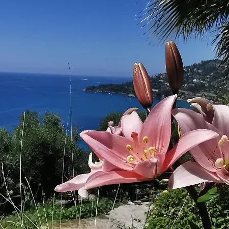 Romantic Casa Lorenzina Guest house