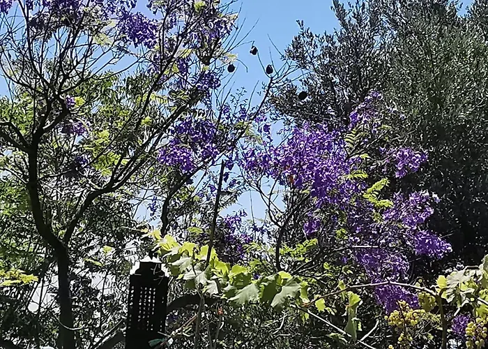 Гостевой дом Romantic Casa Lorenzina 3*