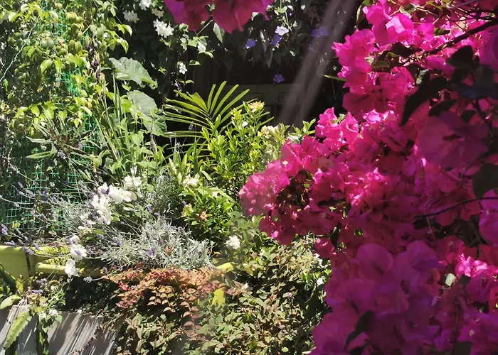 Romantic Casa Lorenzina 3*