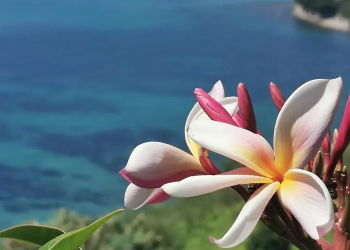 Romantic Casa Lorenzina 3*