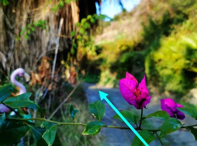 Romantic Casa Lorenzina Гостевой дом