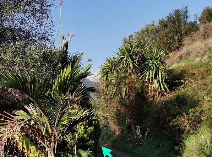 Romantic Casa Lorenzina Гостевой дом 3*