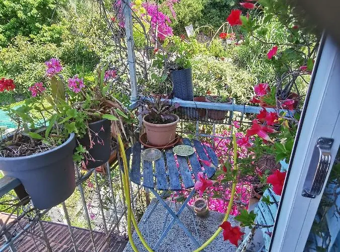 Romantic Casa Lorenzina בית הארחה 3*