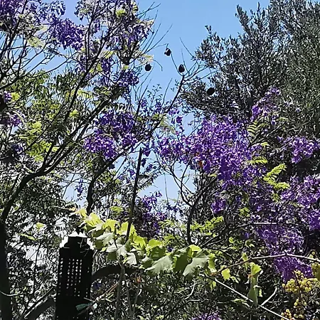 Guest house Romantic Casa Lorenzina 3*