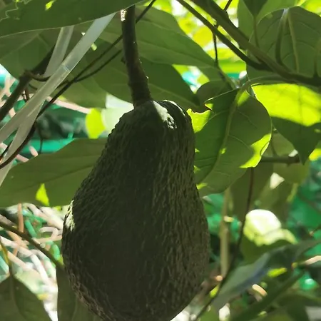 Gasthuis Romantic Casa Lorenzina