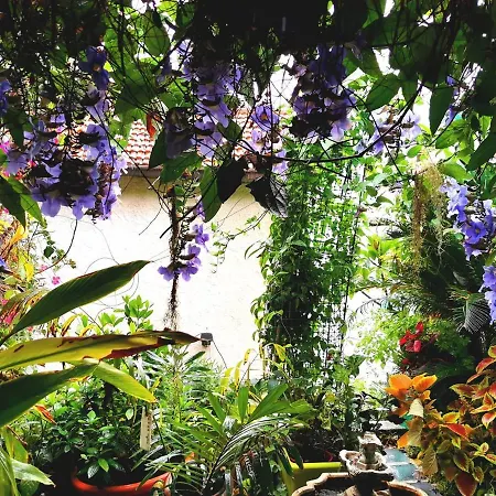 Romantic Casa Lorenzina Pensión 3*