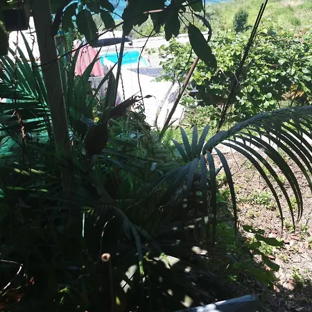 Romantic Casa Lorenzina Pensión 3*