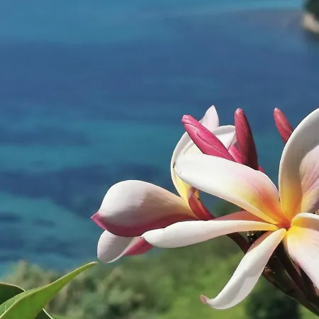 Romantic Casa Lorenzina 3*