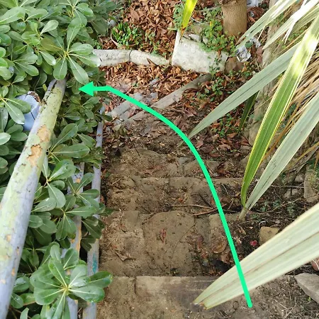 Romantic Casa Lorenzina 3*