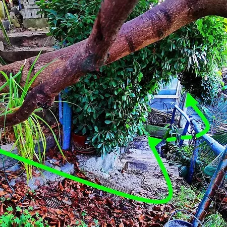 Romantic Casa Lorenzina 3*