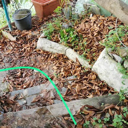 Romantic Casa Lorenzina Ventimiglia