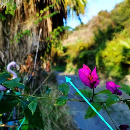 Romantic Casa Lorenzina Pensión