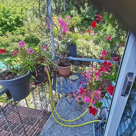 Romantic Casa Lorenzina Gasthuis 3*