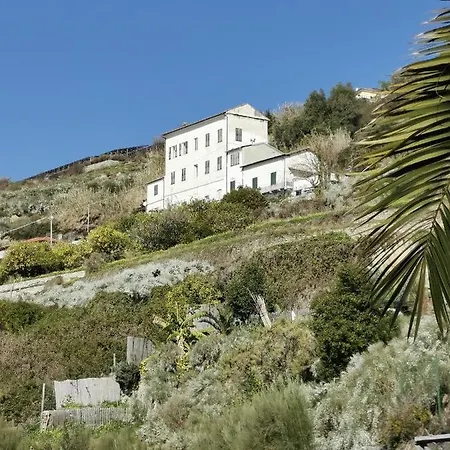 Romantic Casa Lorenzina Pensión 3*