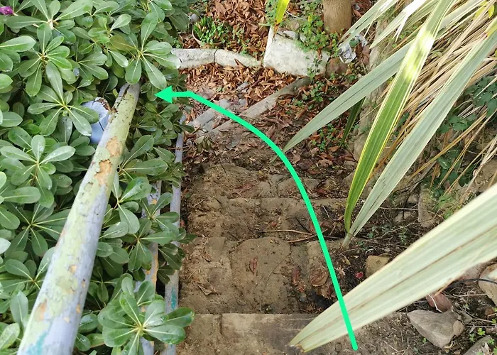 Romantic Casa Lorenzina 3*