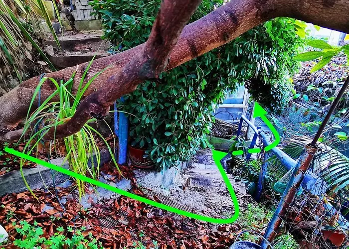 Romantic Casa Lorenzina 3*