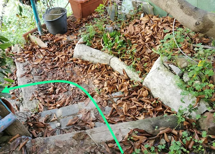 Romantic Casa Lorenzina Ventimiglia